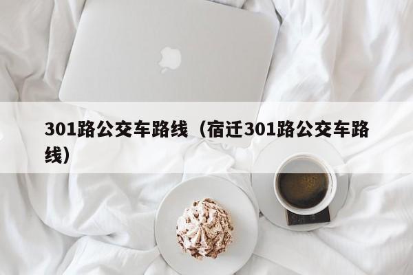 301路公交车路线（宿迁301路公交车路线）
