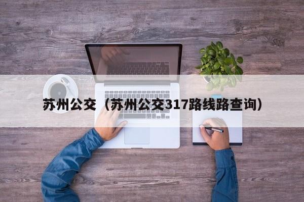 苏州公交（苏州公交317路线路查询）