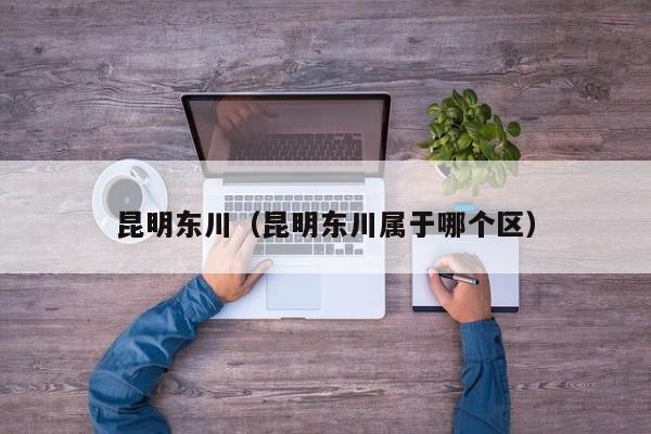 昆明东川（昆明东川属于哪个区）