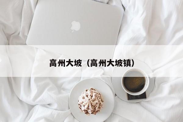 高州大坡（高州大坡镇）