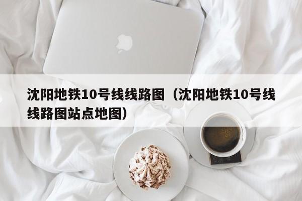 沈阳地铁10号线线路图（沈阳地铁10号线线路图站点地图）