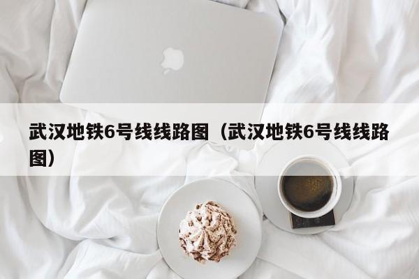 武汉地铁6号线线路图（武汉地铁6号线线路图）