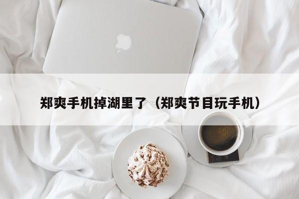 郑爽手机掉湖里了（郑爽节目玩手机）