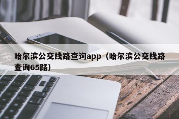 哈尔滨公交线路查询app（哈尔滨公交线路查询65路）