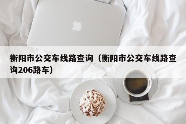 衡阳市公交车线路查询（衡阳市公交车线路查询206路车）