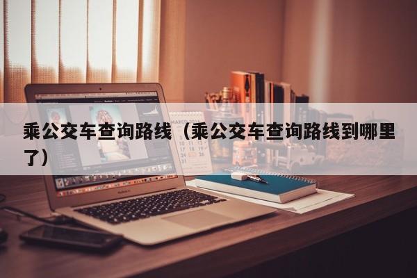 乘公交车查询路线（乘公交车查询路线到哪里了）
