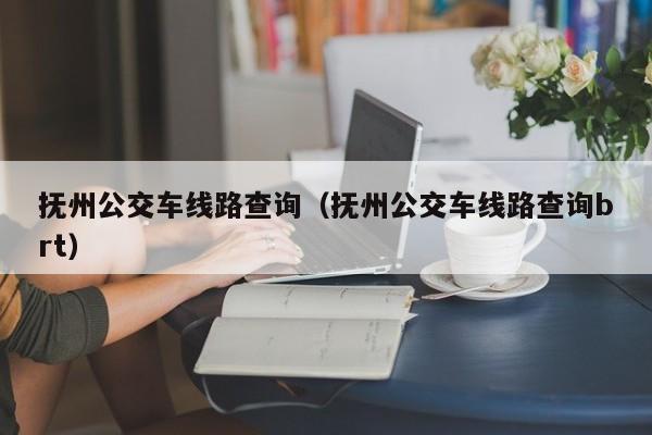 抚州公交车线路查询（抚州公交车线路查询brt）