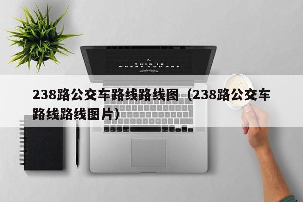 238路公交车路线路线图（238路公交车路线路线图片）