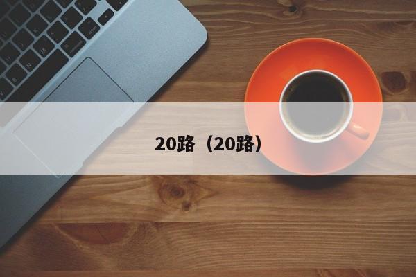 20路（20路）