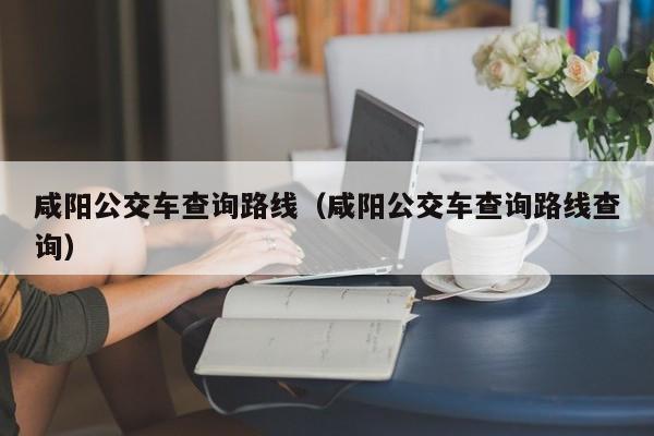咸阳公交车查询路线（咸阳公交车查询路线查询）