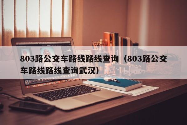 803路公交车路线路线查询（803路公交车路线路线查询武汉）