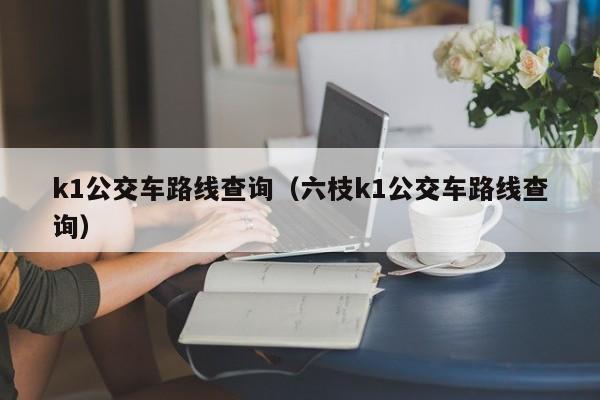 k1公交车路线查询（六枝k1公交车路线查询）