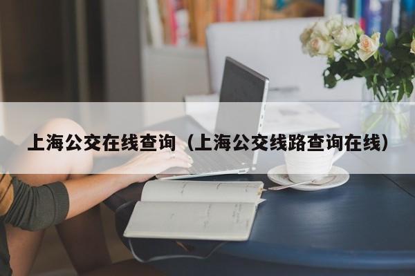 上海公交在线查询（上海公交线路查询在线）
