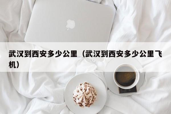武汉到西安多少公里（武汉到西安多少公里飞机）